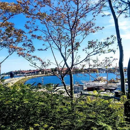 Vigo Nesebar
