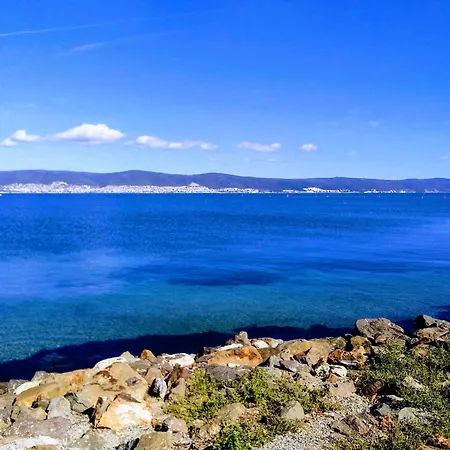 Vigo